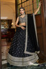 Black color Net Fabric Lehenga Choli