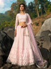 Beautiful Baby Pink Designer Embroidery Wedding Lehenga Choli