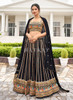 Beautiful Black Traditional Zari Embroidered Lehenga Choli