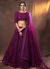 Beautiful Wine Embroidered Lehenga Choli