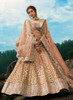 Beautiful Dusty Pink Golden Sequence Designer Embroidery Wedding Lehenga Choli