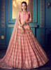 Beautiful Light Pink And Gold Indo Western Lehenga Choli