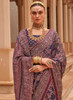 Beautiful Blue And Pink Crystal Stone Brasso Saree