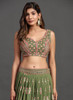 Beautiful Green Multi Embroidery Traditional Lehenga Choli