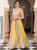 Beautiful Beige Multicoloured Mirror Work Embroidery Anarkali Gown152