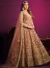 Beautiful Light Brown Embroidery Festive Anarkali Suit229