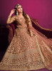 Beautiful Light Brown Embroidery Festive Anarkali Suit229