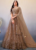 Beautiful Light Brown Sequence Embroidery Wedding Lehenga Choli273