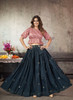 Beautiful Pink And Blue Sequence Embroidery Traditional Flared Skirt And Top347