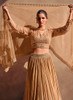 Beautiful Beige Golden Sequence Embroidery Traditional Lehenga Choli412