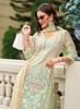 Beautiful Light Green Multi Embroidery Traditional Salwar Suit550