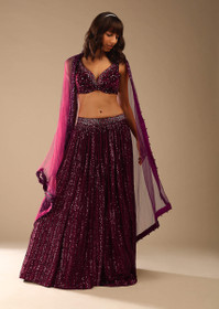 Wine color Net Fabric Lehenga Choli