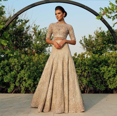 Light Beige color Net Fabric Lehenga Choli