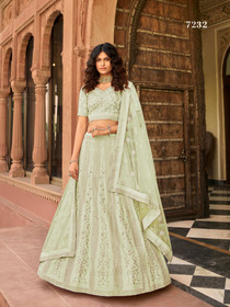 Light Cardamom Green color Organza Fabric Embroidered Lehenga Choli