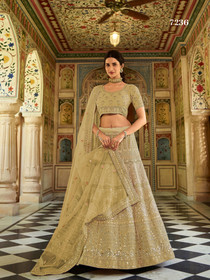 Beige color Organza Fabric Embroidered Lehenga Choli