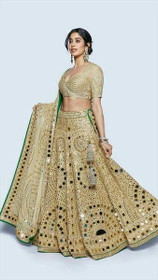 Beige color Net Fabric Embroidered Lehenga Choli