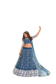 Blue color Net Fabric Lehenga Choli