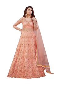 Light Peach color Net and Silk Fabric Floor Length Full Sleeves Indowestern style Party Wear Suit