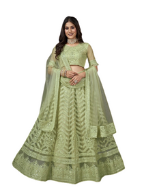 Cardamom Green color Net Fabric Lehenga Choli