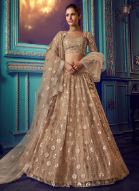 Beautiful Golden Beige Indo Western Lehenga Choli