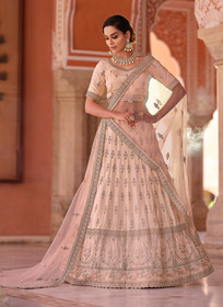 Beautiful Baby Pink Traditional Embroidered Lehenga Choli