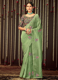 Beautiful Pale Green Multi Embroidered Organza Silk Saree