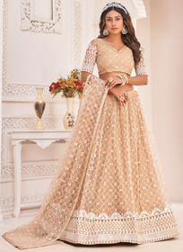 Beautiful Beige Embroidered Traditional Wedding Lehenga Choli353