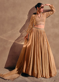 Beautiful Beige Golden Sequence Embroidery Traditional Lehenga Choli412