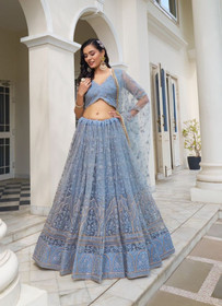 Beautiful Butterfly Net Lehenga1932