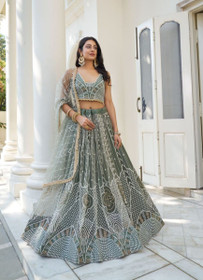 Beautiful Butterfly Net Lehenga1933