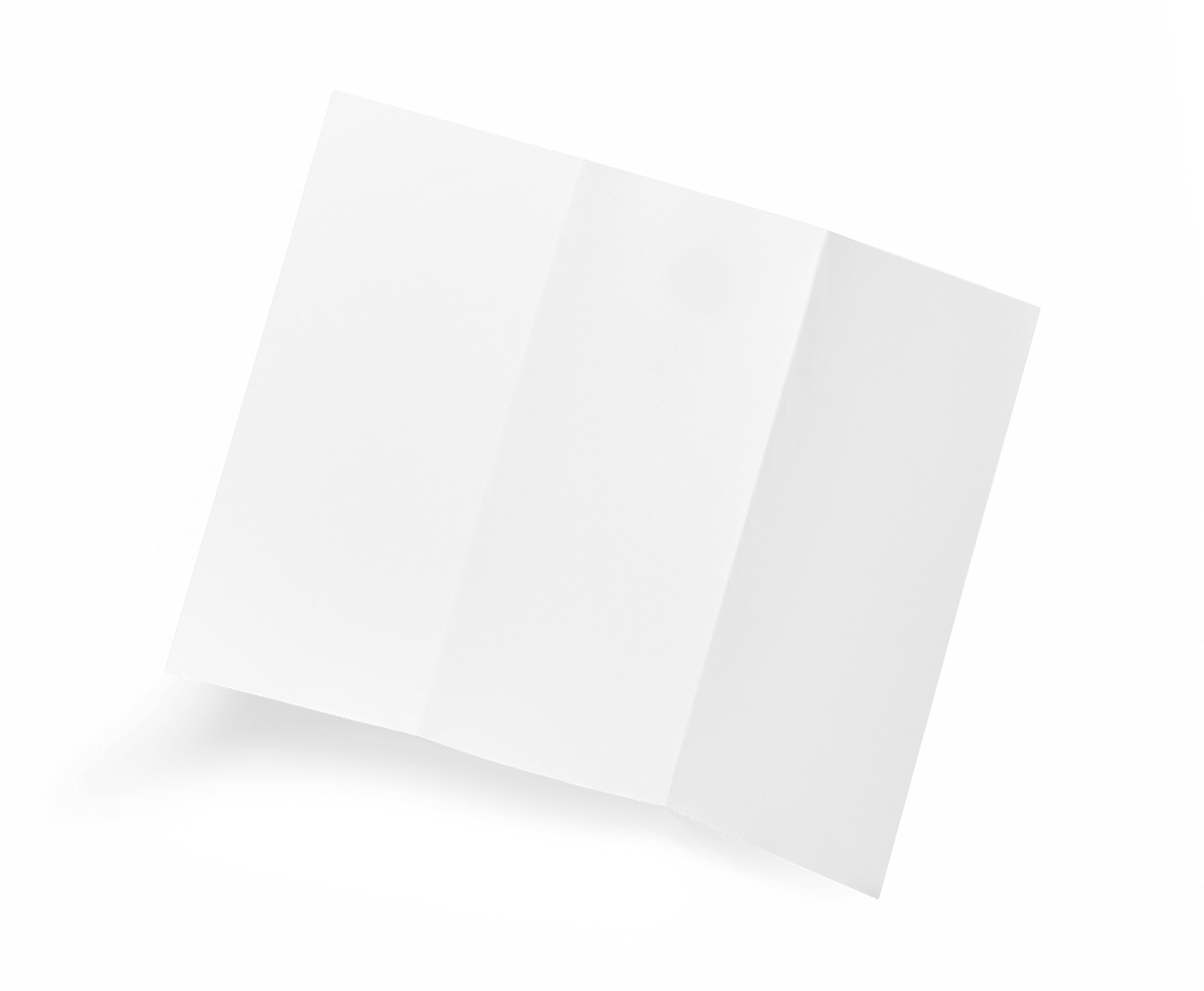 Blanks/USA Tri-Fold Brochure