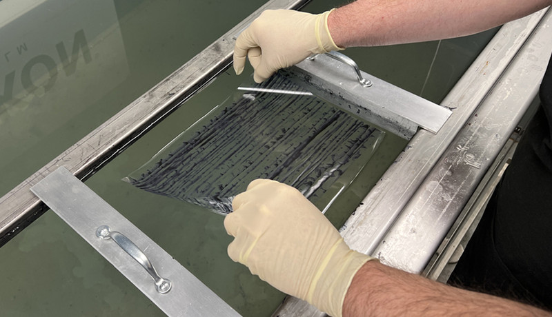 Water Quality for Hydro Dipping: Why Your Rinse Feels Slimy