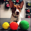 Wacky Walk'r WUNDERBALL Indestructible, Bouncing, Floating Dog Fetch Ball Toy