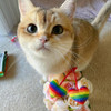 Kittybelles Pride Heart Strings Cat toy