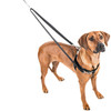 2 Hounds Freedom No-Pull Training Harness