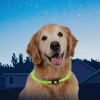 NiteIze - NiteHowl LED Dog Safety Necklace