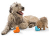 West Paw Tux Dog Treat Toy