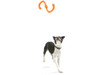 West Paw Bumi Dog Tug Toy