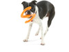 West Paw Bumi Dog Tug Toy