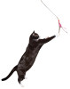 Go Cat Da Bird Pull-Apart Rod & Bird Cat Toy | Assorted Colored Guinea Feathers