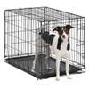 Metal Folding Single-Door Dog Crate