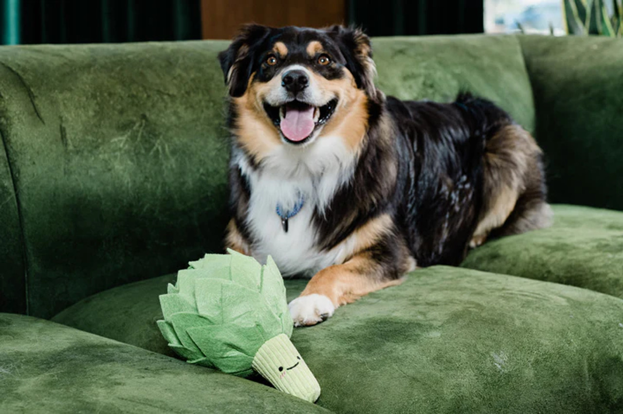 Injoya - Avocado Snuffle Mat