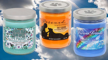 Pet Odor Candles