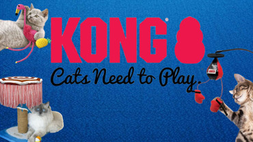Kong Cat Toys and More