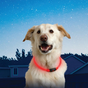 NiteIze - NiteHowl LED Dog Safety Necklace (Choose Color)