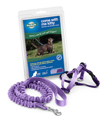 PetSafe Come with Me Kitty Harness and Bungee Leash