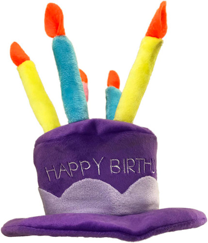 PetSport Happy Birthday Party Hat