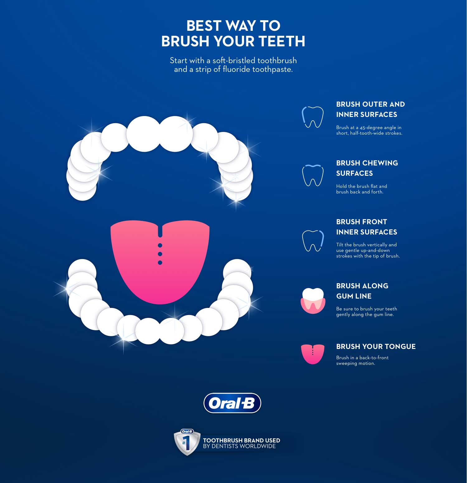 Oral-B graphic showing the proper way to brush your teeth