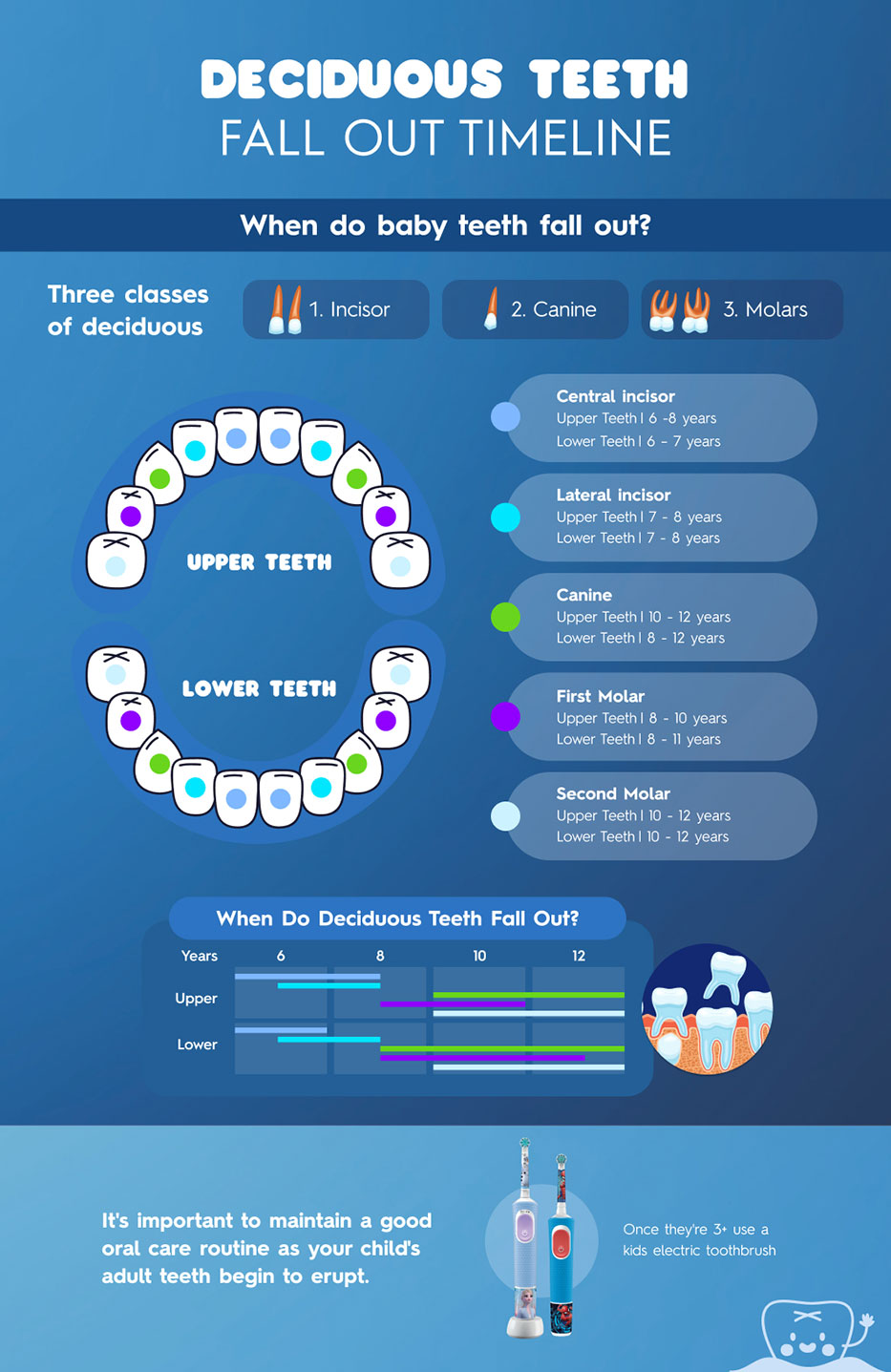 Deciduous teeth fall out chart