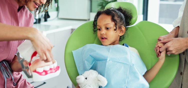 Dentist explaining to young patient how their teeth work